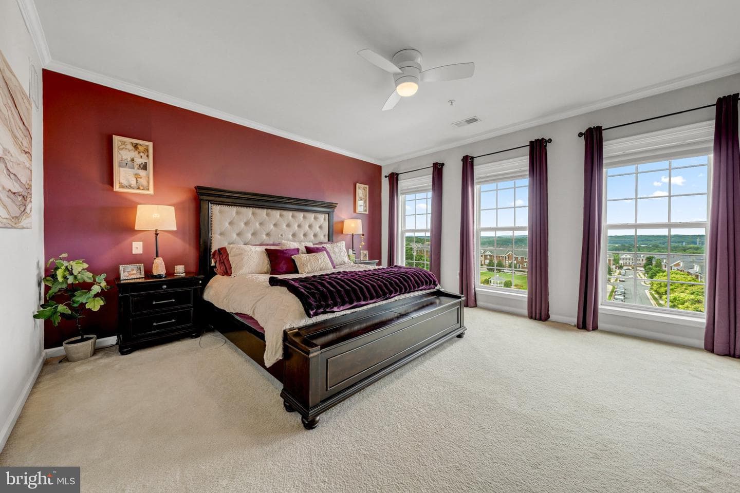 20604 Maitland Terrace photo 13