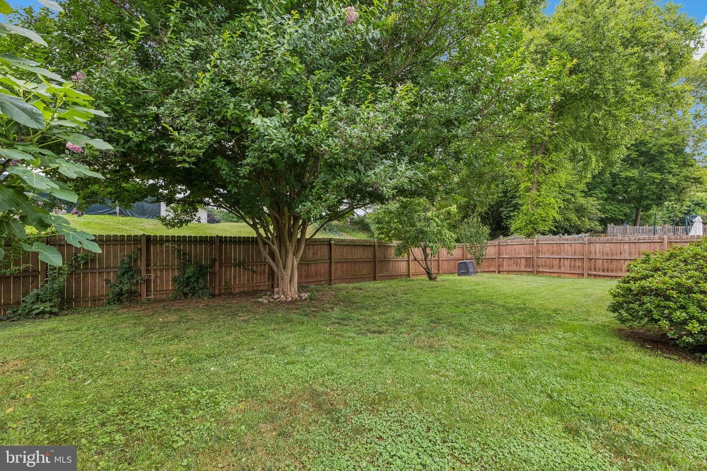 246 Avondale Drive photo 25