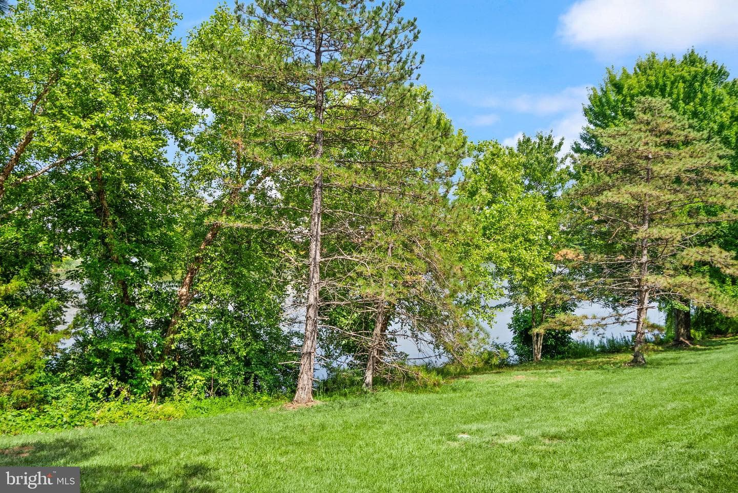 21020 Mossy Glen Terrace photo 55