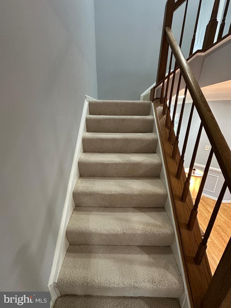 21140 Winding Brook Square photo 14
