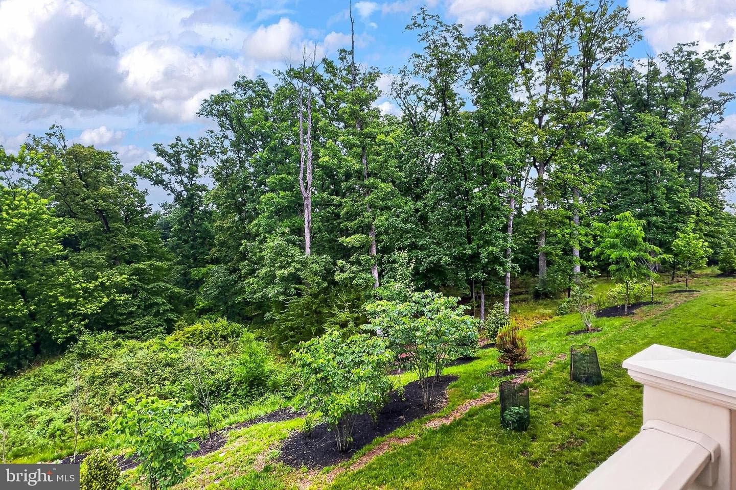 1700 Mocking Jay Terrace NE photo 23