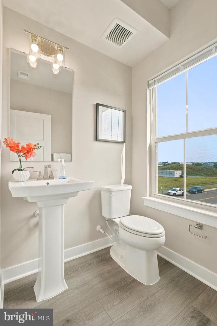 24274 Thurso Square photo 36
