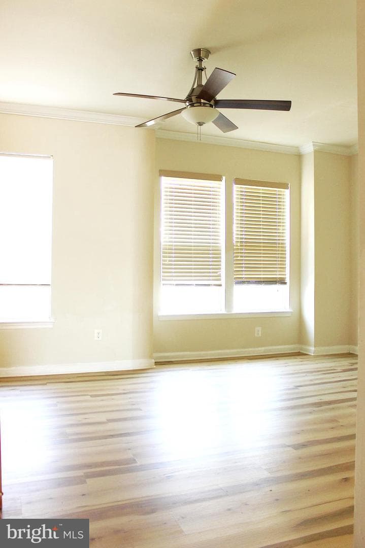 44035 Peirosa Terrace photo 20