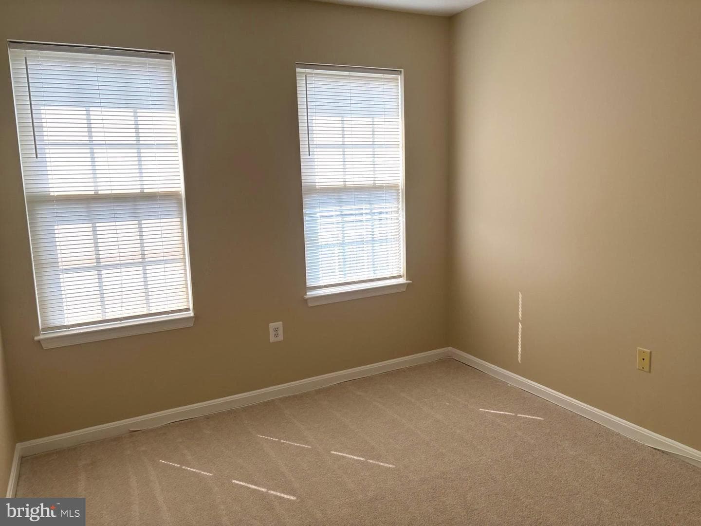 21156 Domain Terrace photo 23
