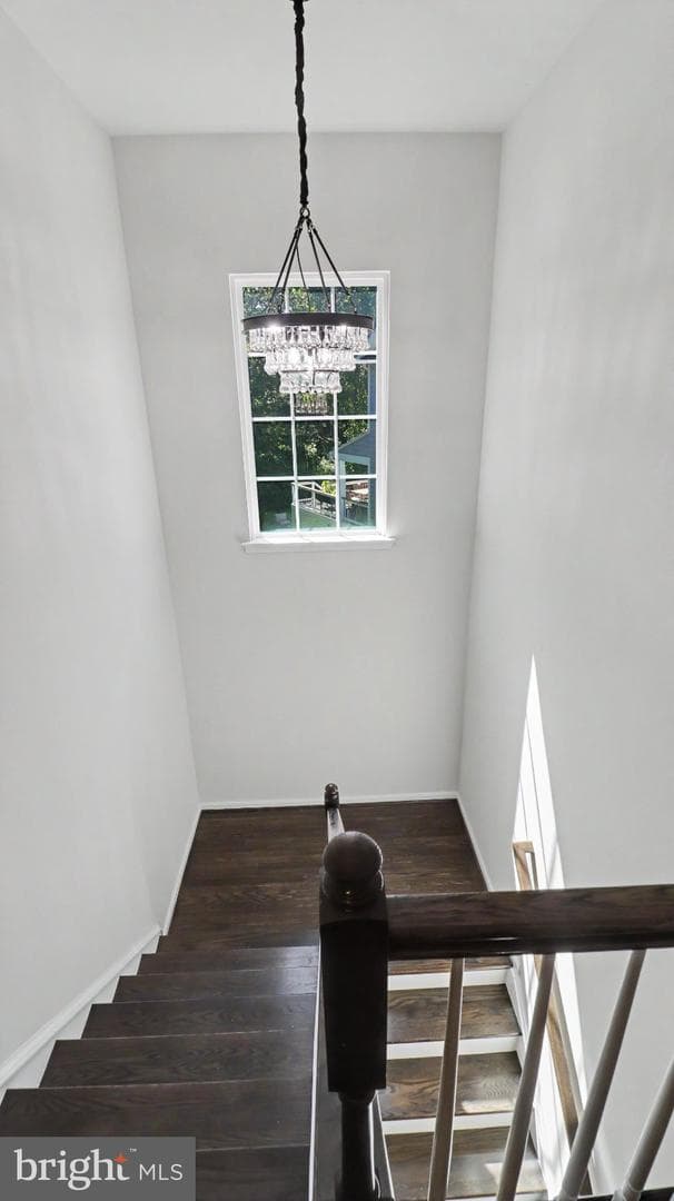 40977 Nut Hatch Court photo 51