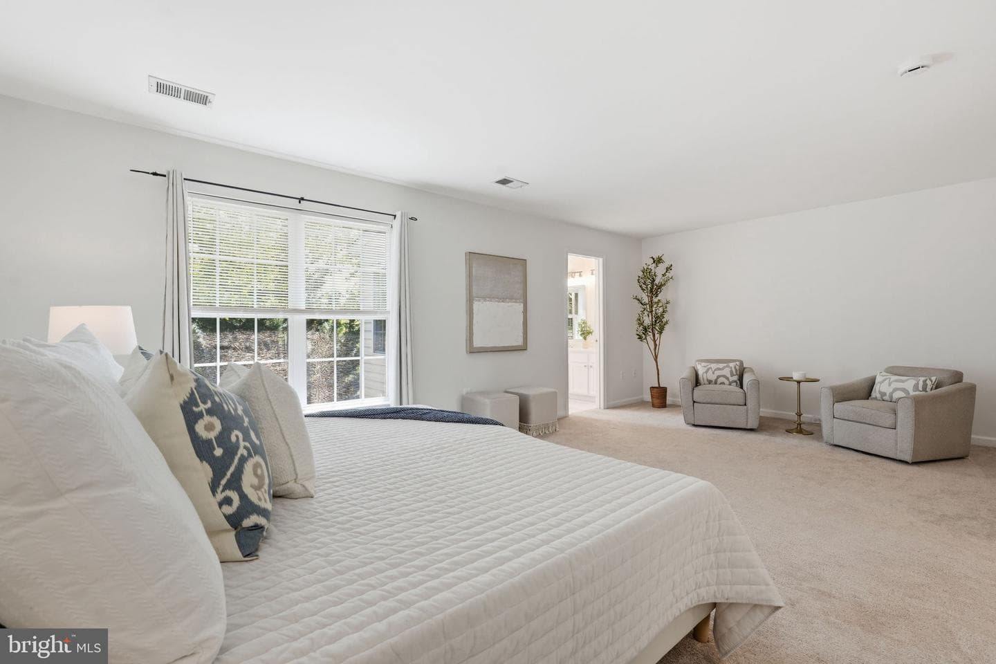 43451 Laidlow Street photo 16