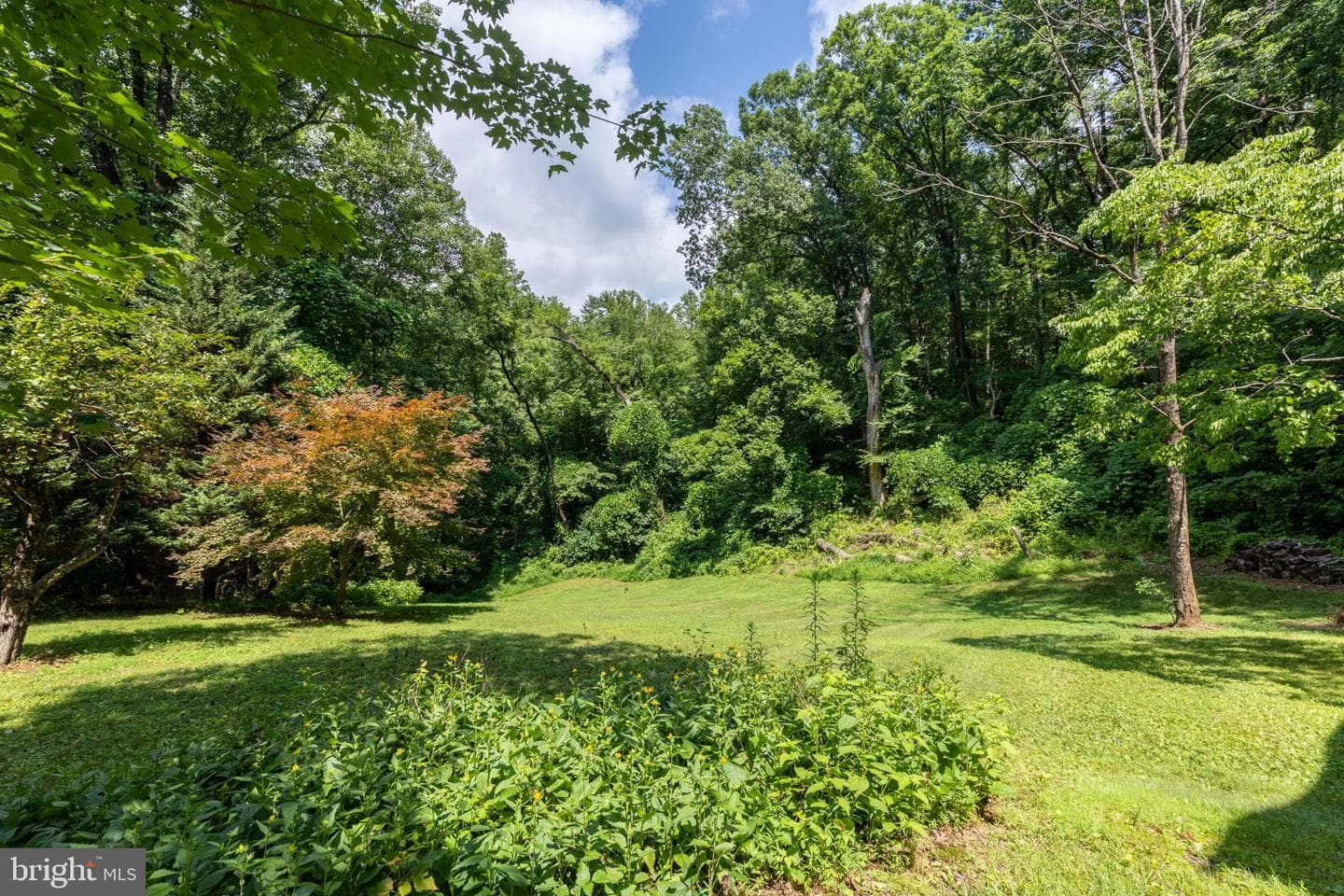 101 Middle River Ridge Road photo 7