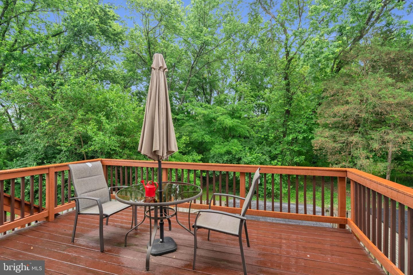 8683 Point Of Woods Drive photo 31