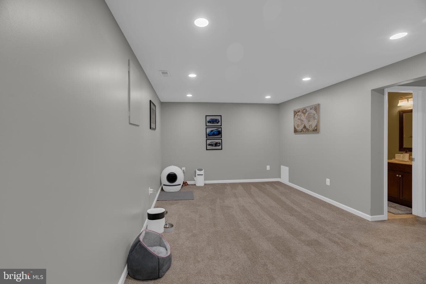 8683 Point Of Woods Drive photo 39