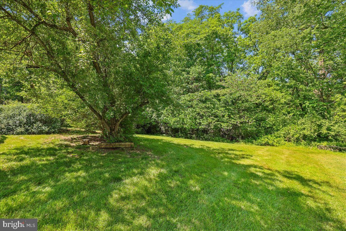 8746 Country Lane photo 34