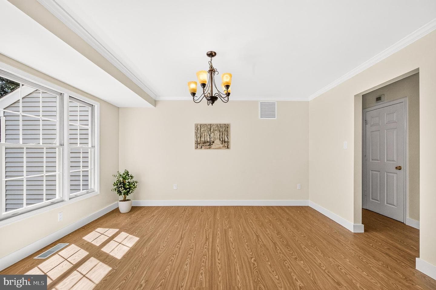 10202 Daylily Court photo 22