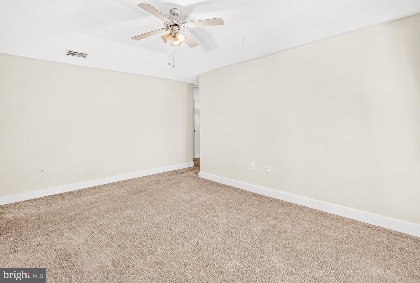 10202 Daylily Court photo 36