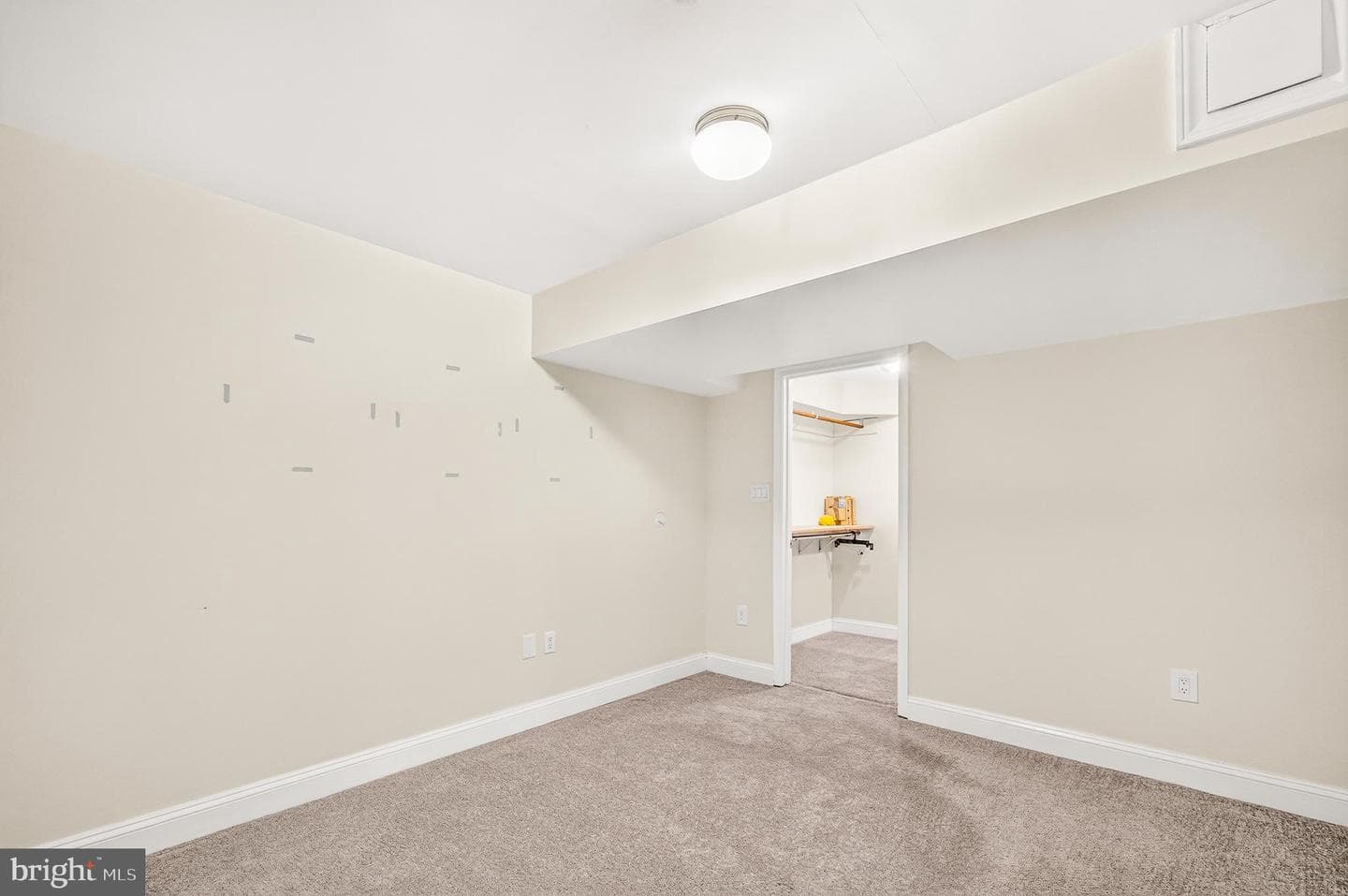 10202 Daylily Court photo 48