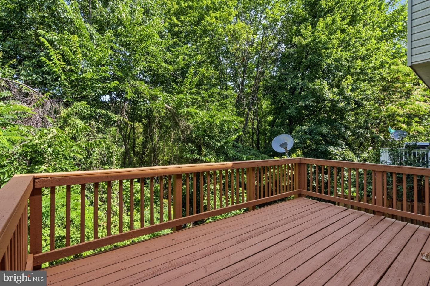 9504 Ninebark Court photo 5