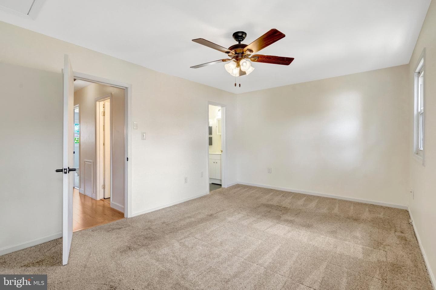 8501 Buckeye Court photo 17