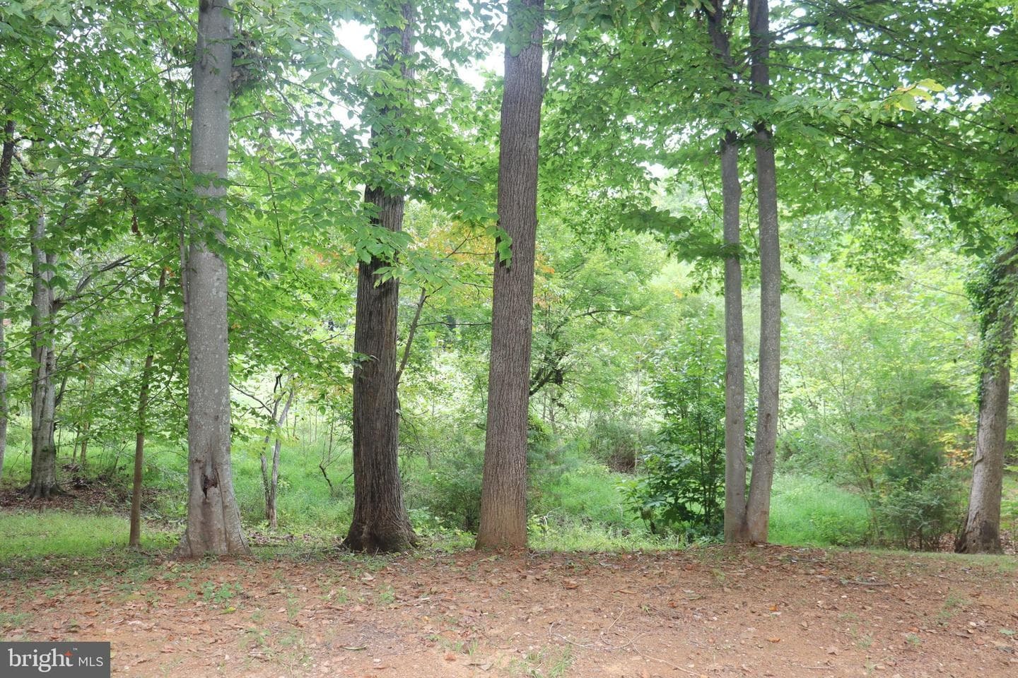 1111 Eastover Parkway photo 51