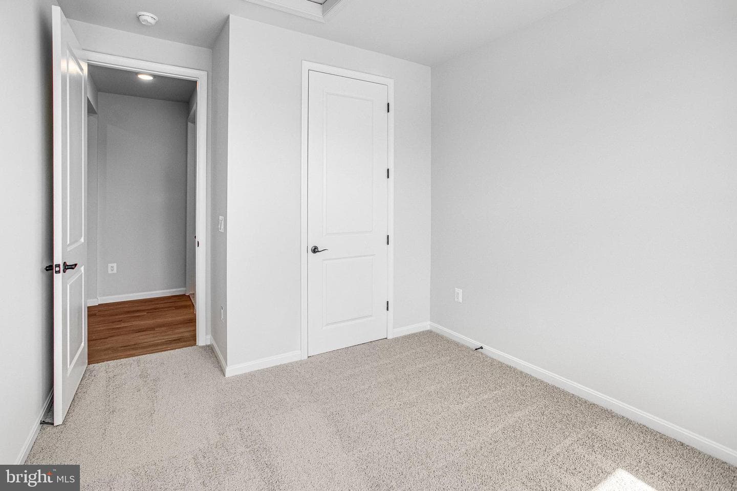 501 Aster Lane photo 15