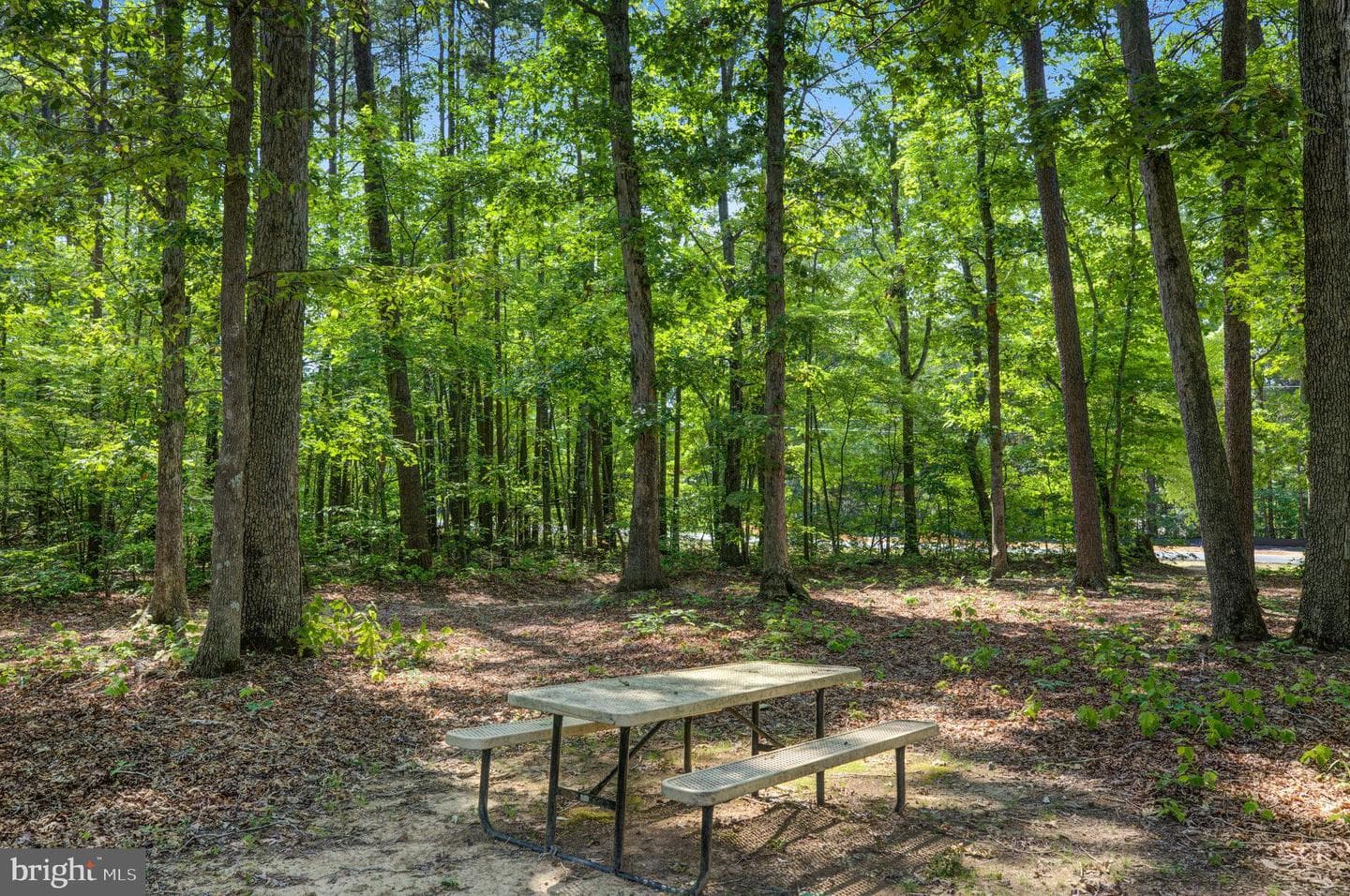 36139 Wilderness Shores Way photo 39