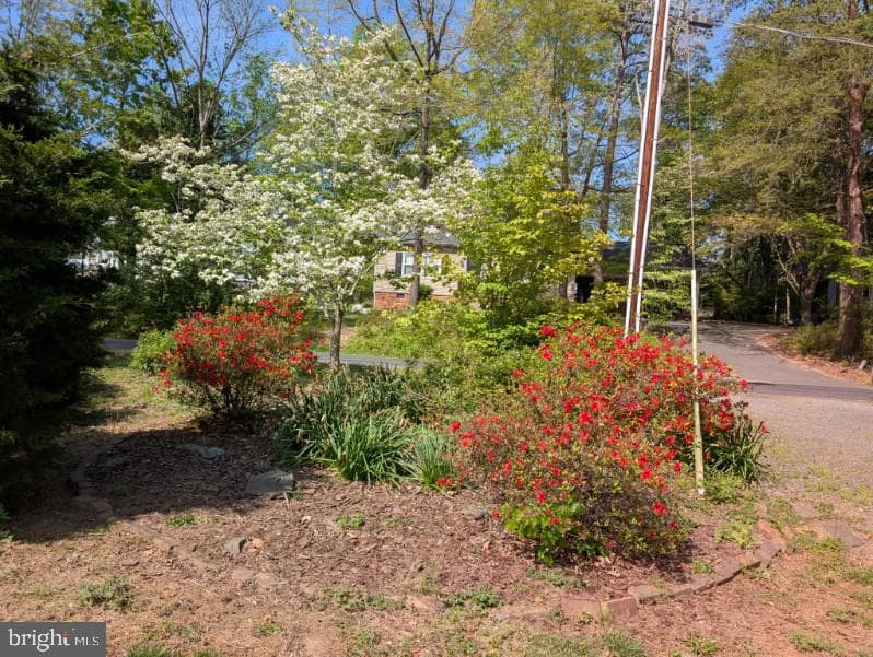 322 Birchside Circle photo 80