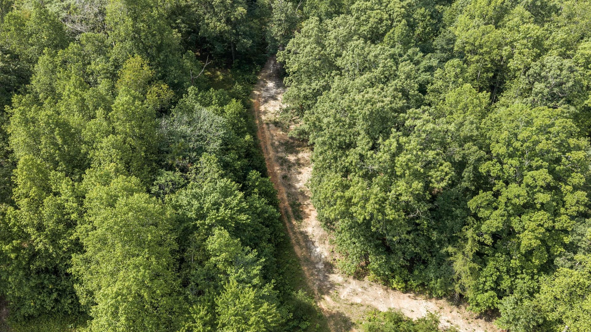 24333 Narrow Gauge Road photo 54