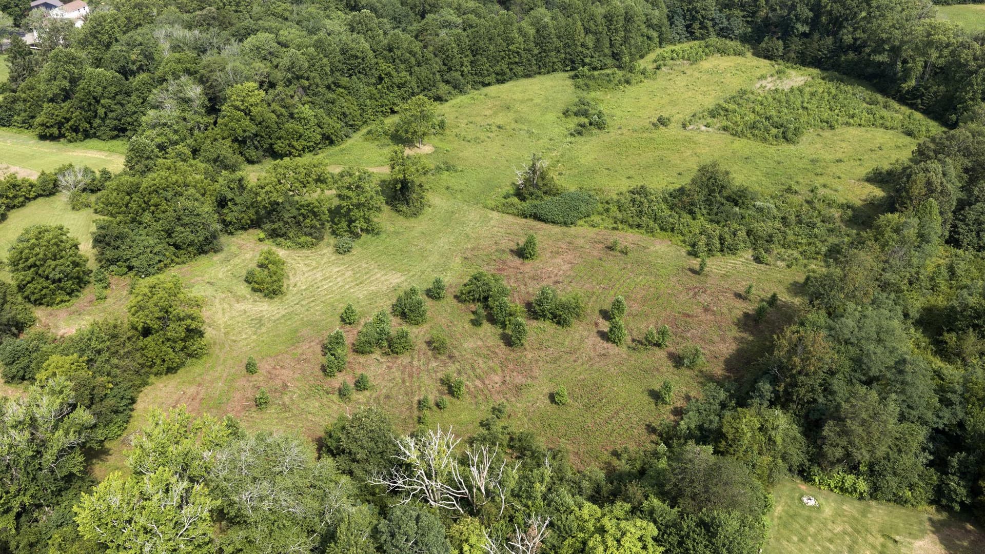 24333 Narrow Gauge Road photo 55