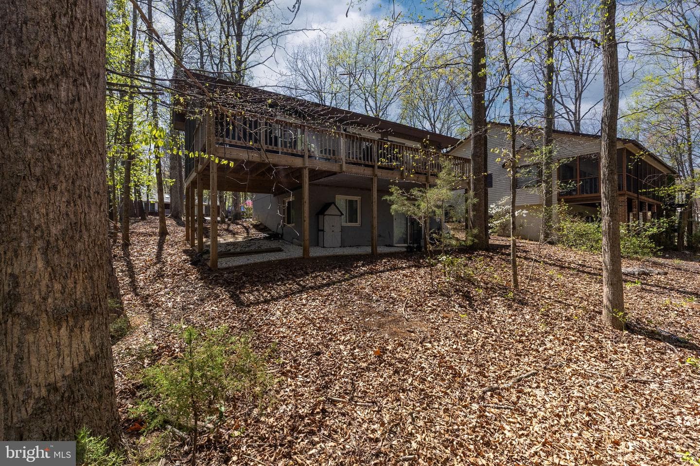 111 Tallwood Trail photo 23