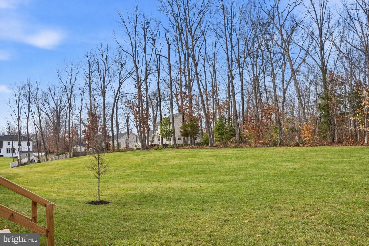 35623 Pine Needle Lane photo 47