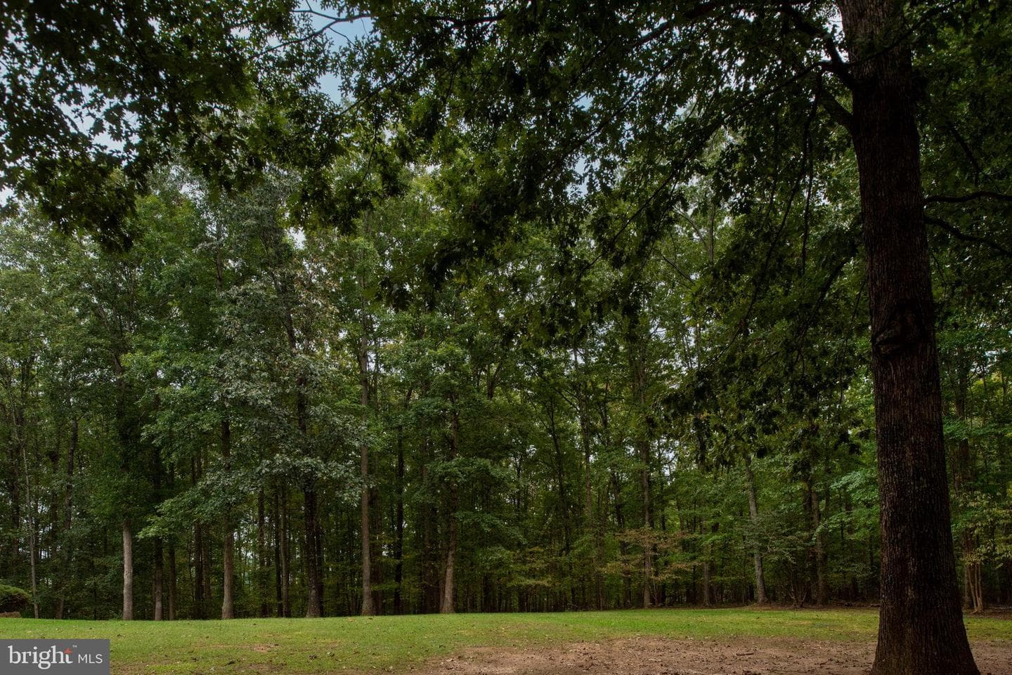 32236 Deep Meadow Lane photo 43