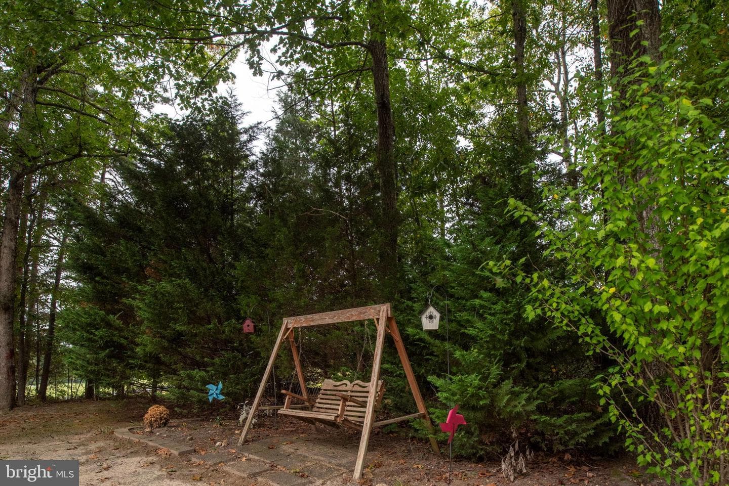 32236 Deep Meadow Lane photo 48