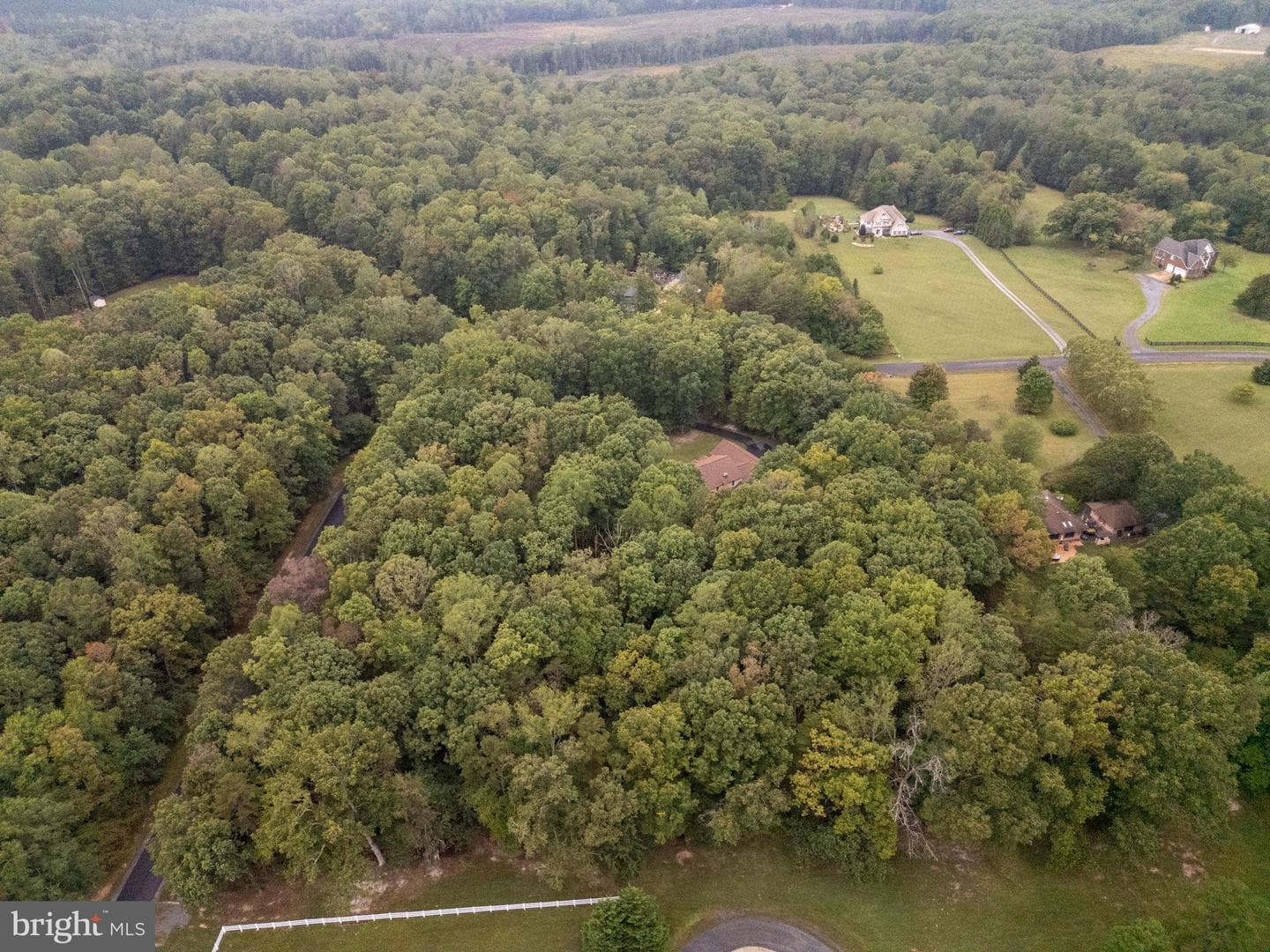 32236 Deep Meadow Lane photo 53