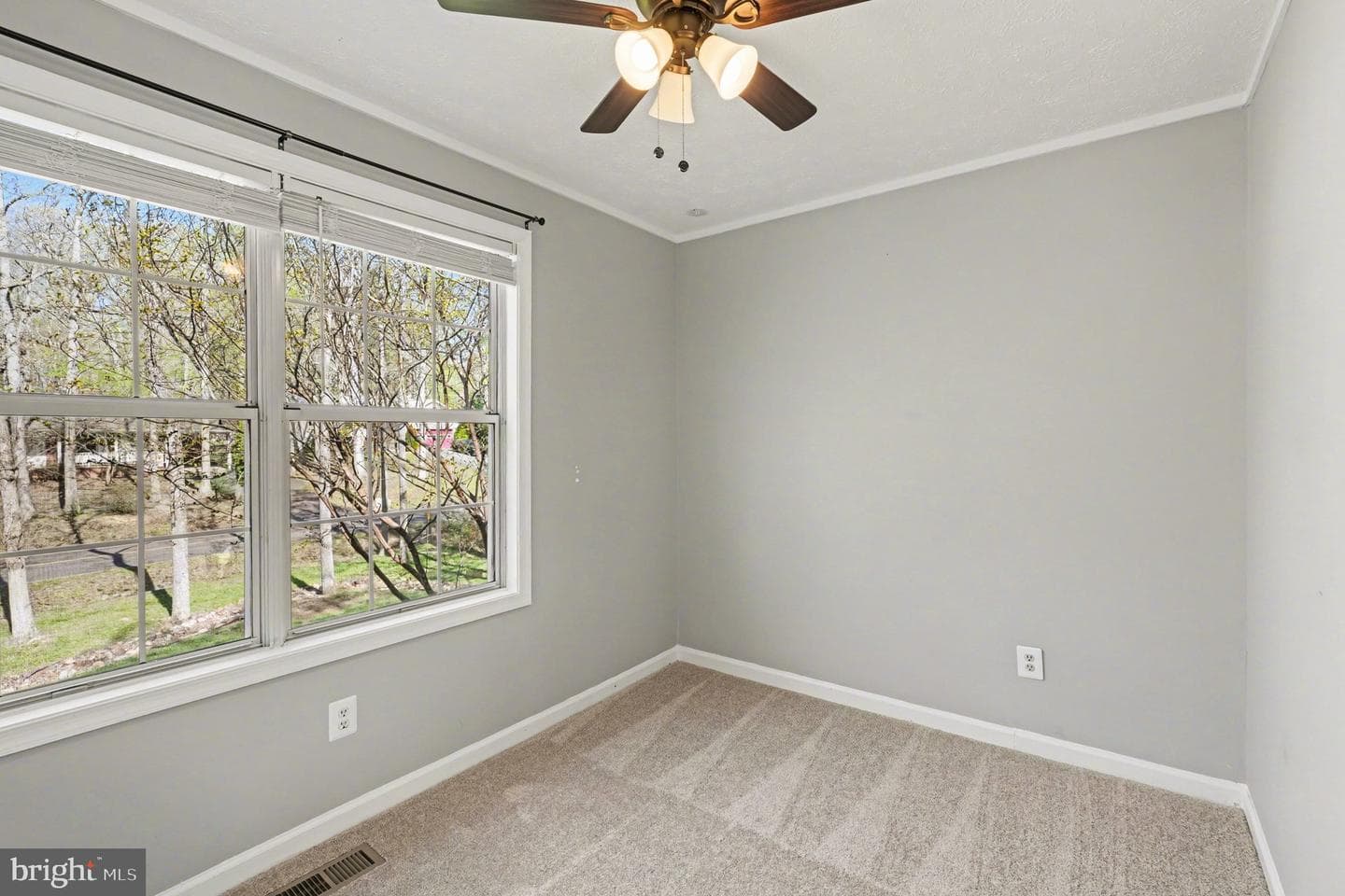 627 Mt Pleasant Drive photo 14