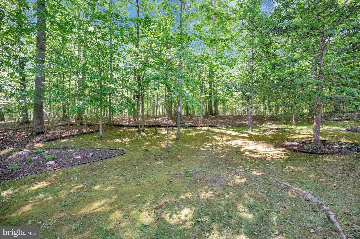 801 Eastover Parkway photo 58