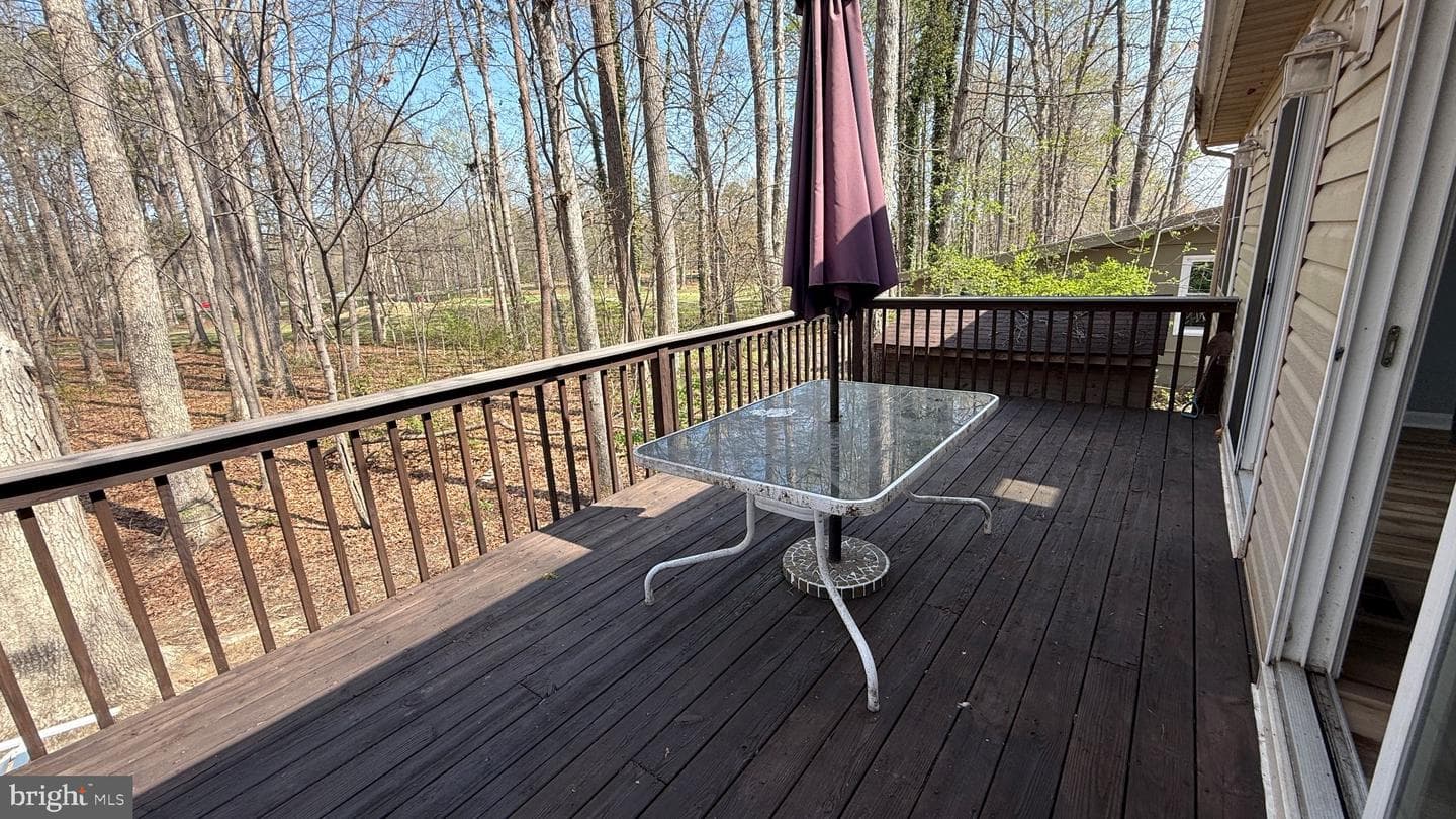 533 Mount Pleasant Drive photo 21
