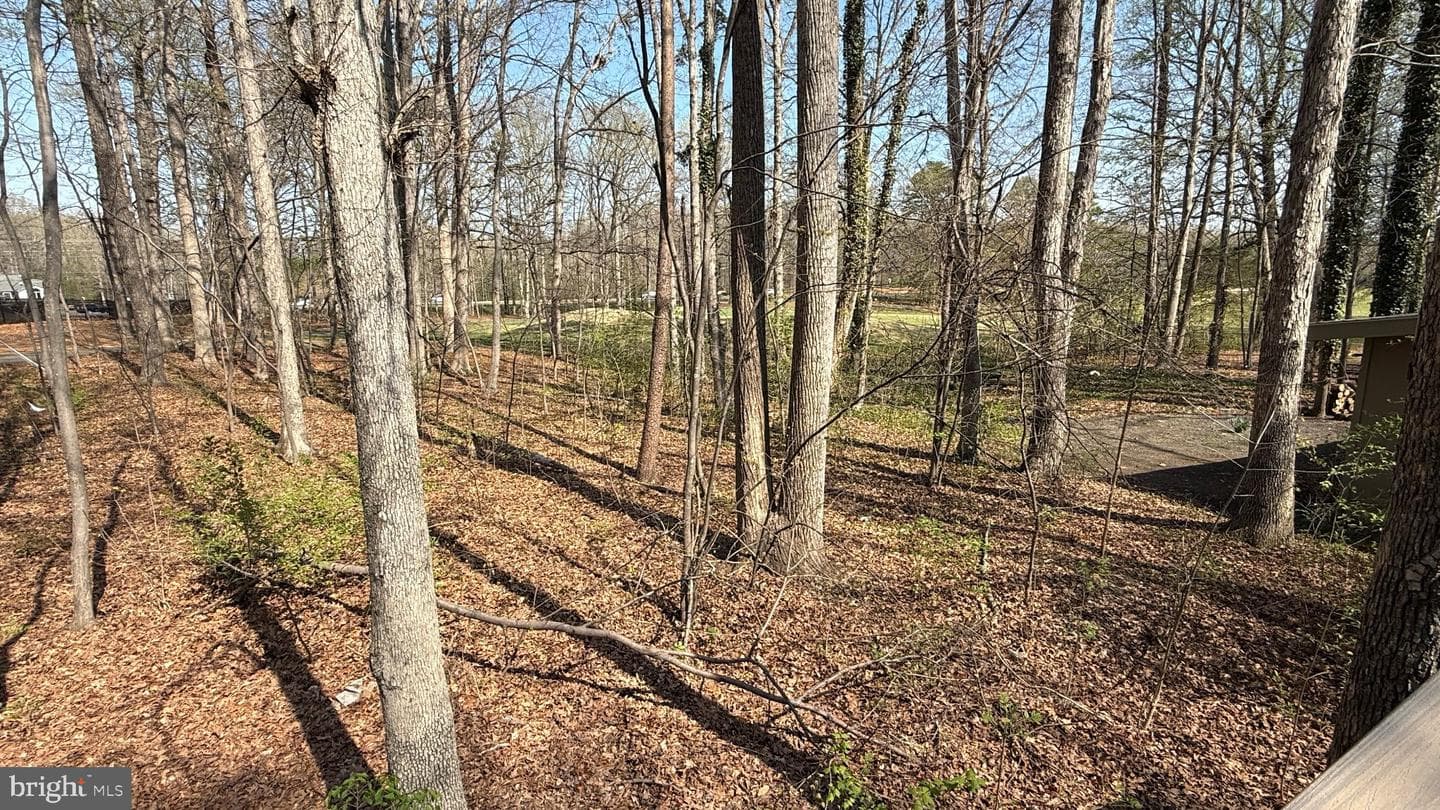533 Mount Pleasant Drive photo 24