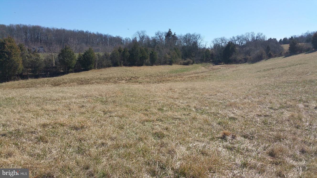 9471 Little Skyline Drive photo 22