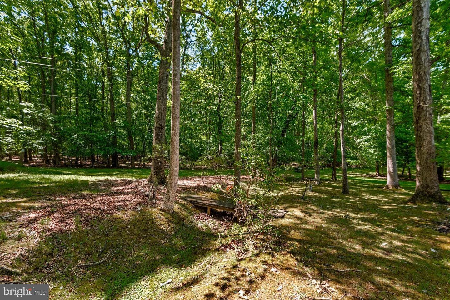 220 Creekside Drive photo 43
