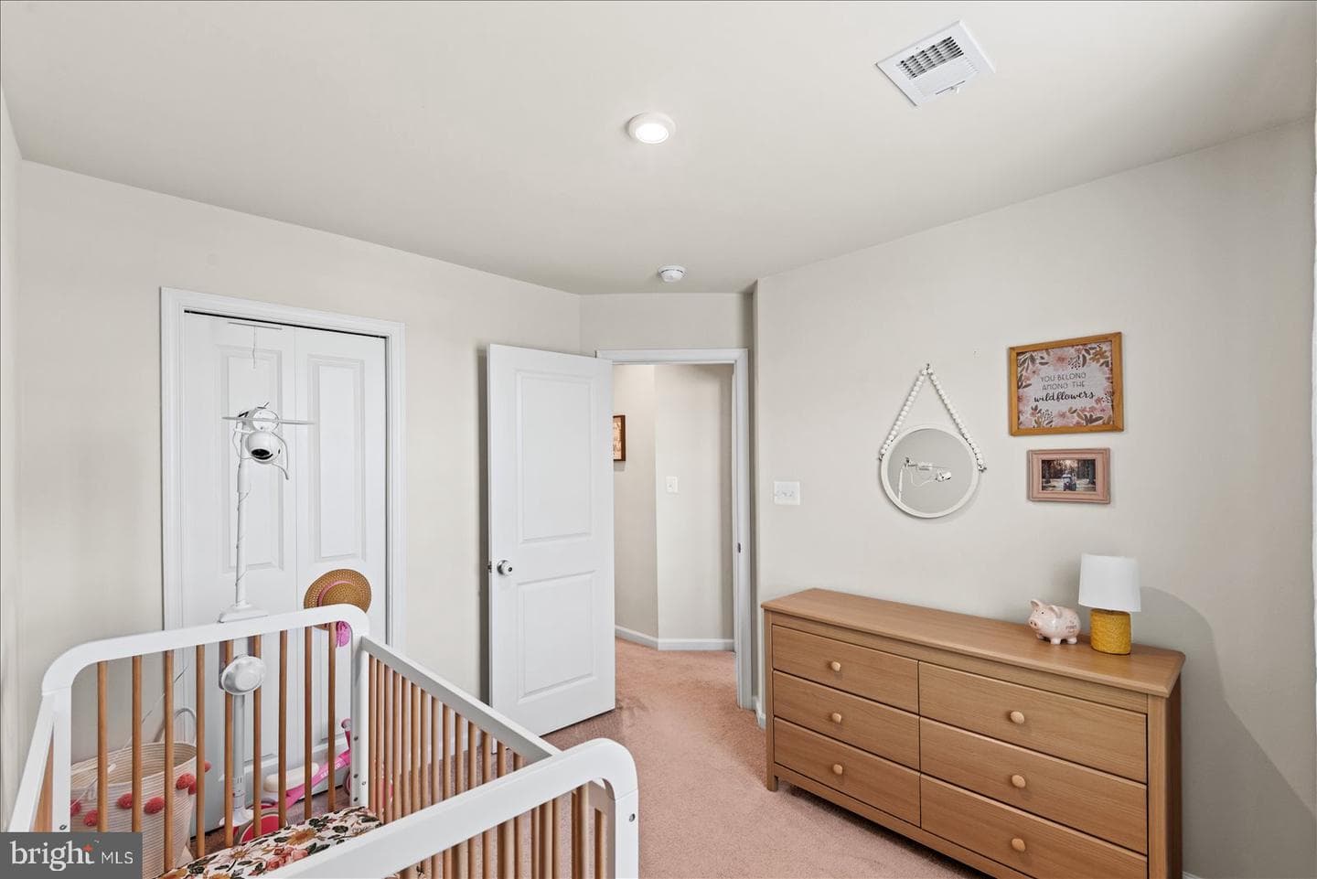 2854 Farzi Circle photo 22
