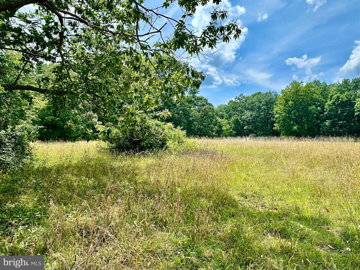 30494 Hicks Road photo 33