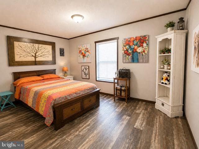 21731 Berry Run Road photo 13