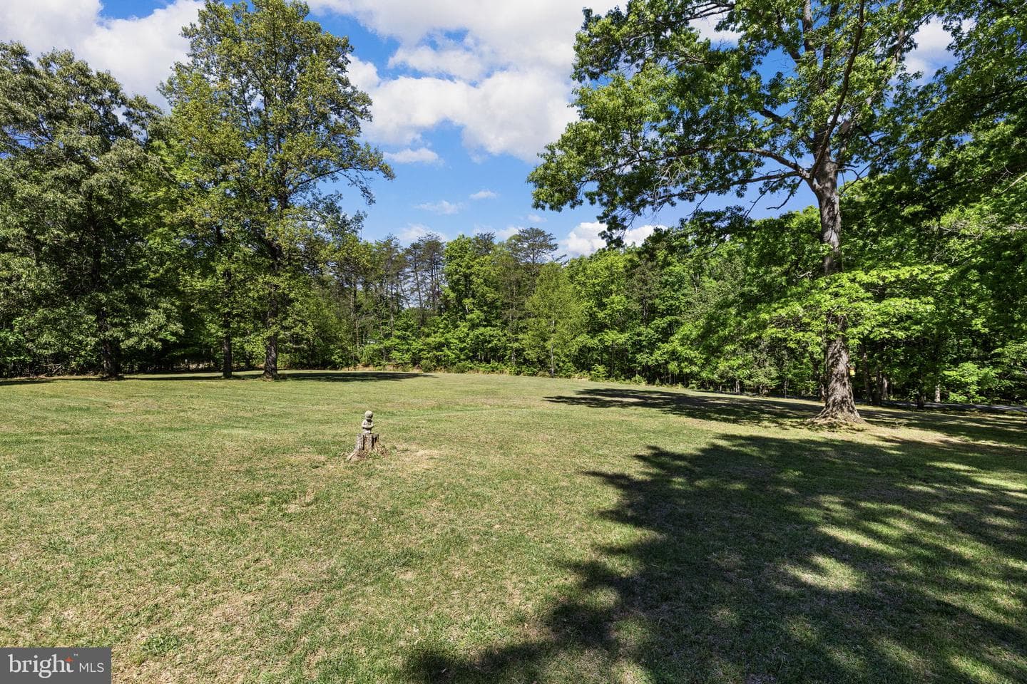 12467 Harbor Drive photo 43