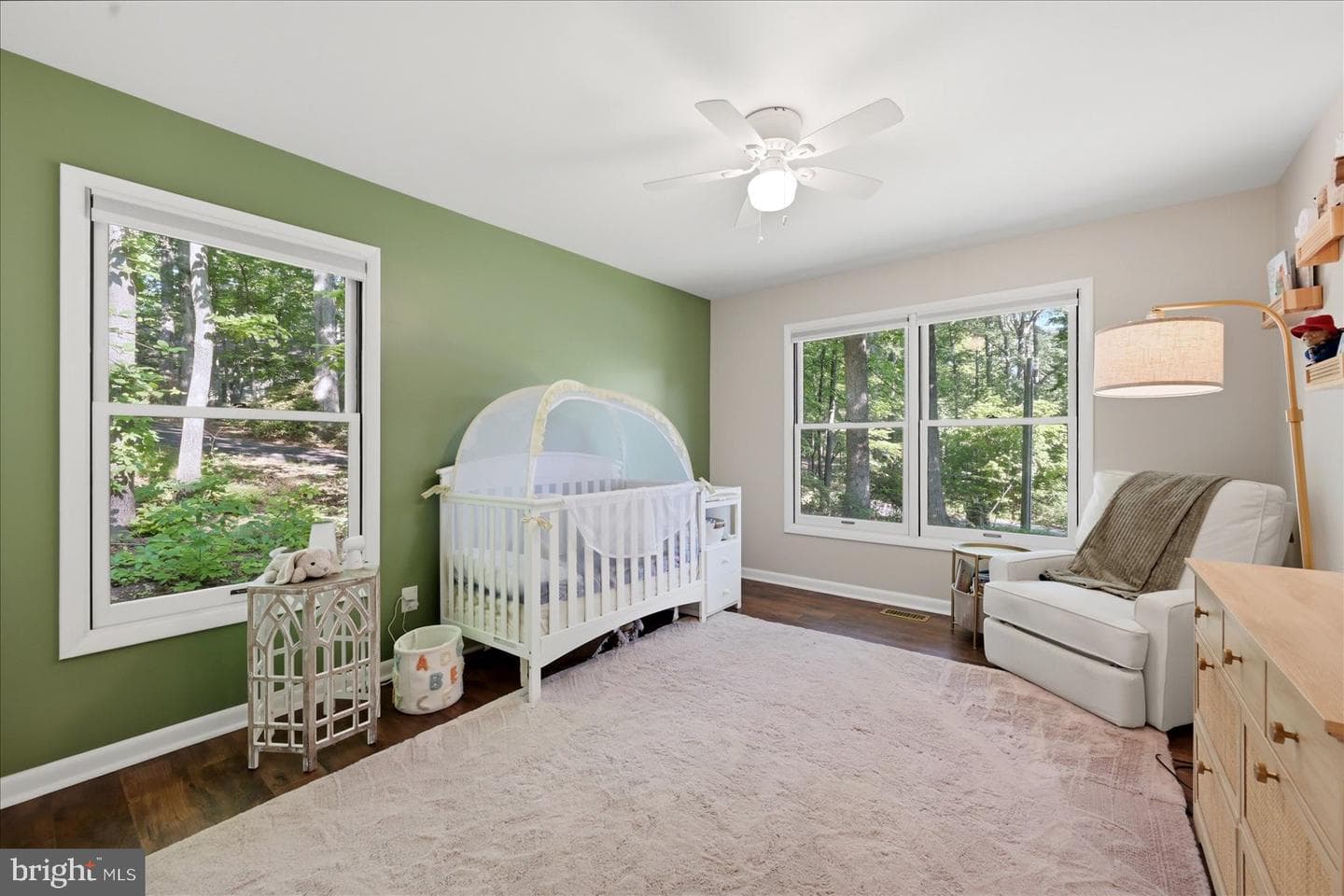 203 Birchside Circle photo 11