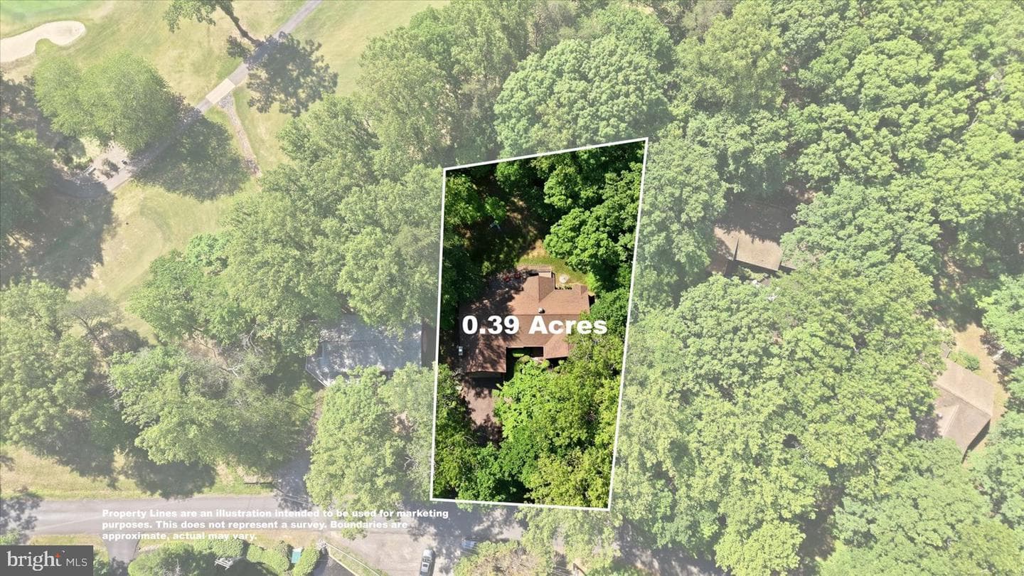 203 Birchside Circle photo 20