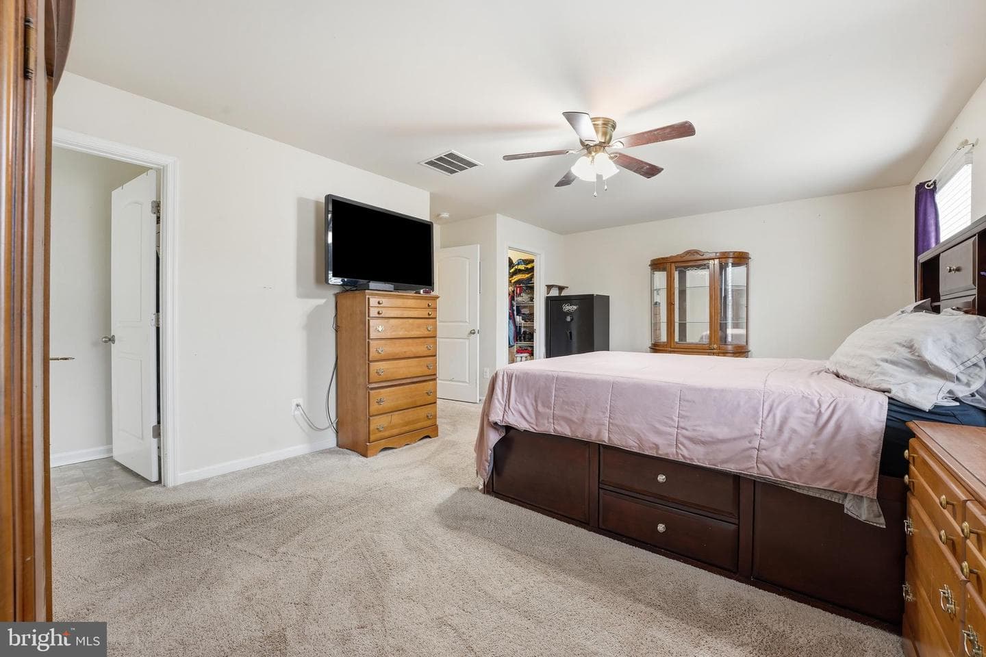 235 Daliah Way photo 31