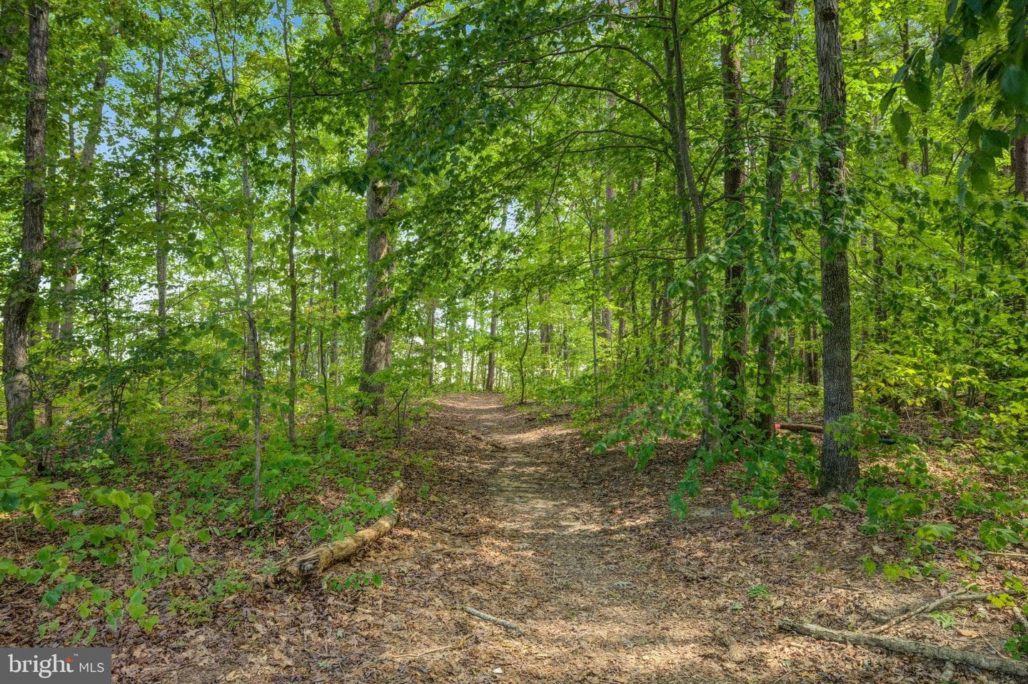 36249 Coyote Trail photo 38