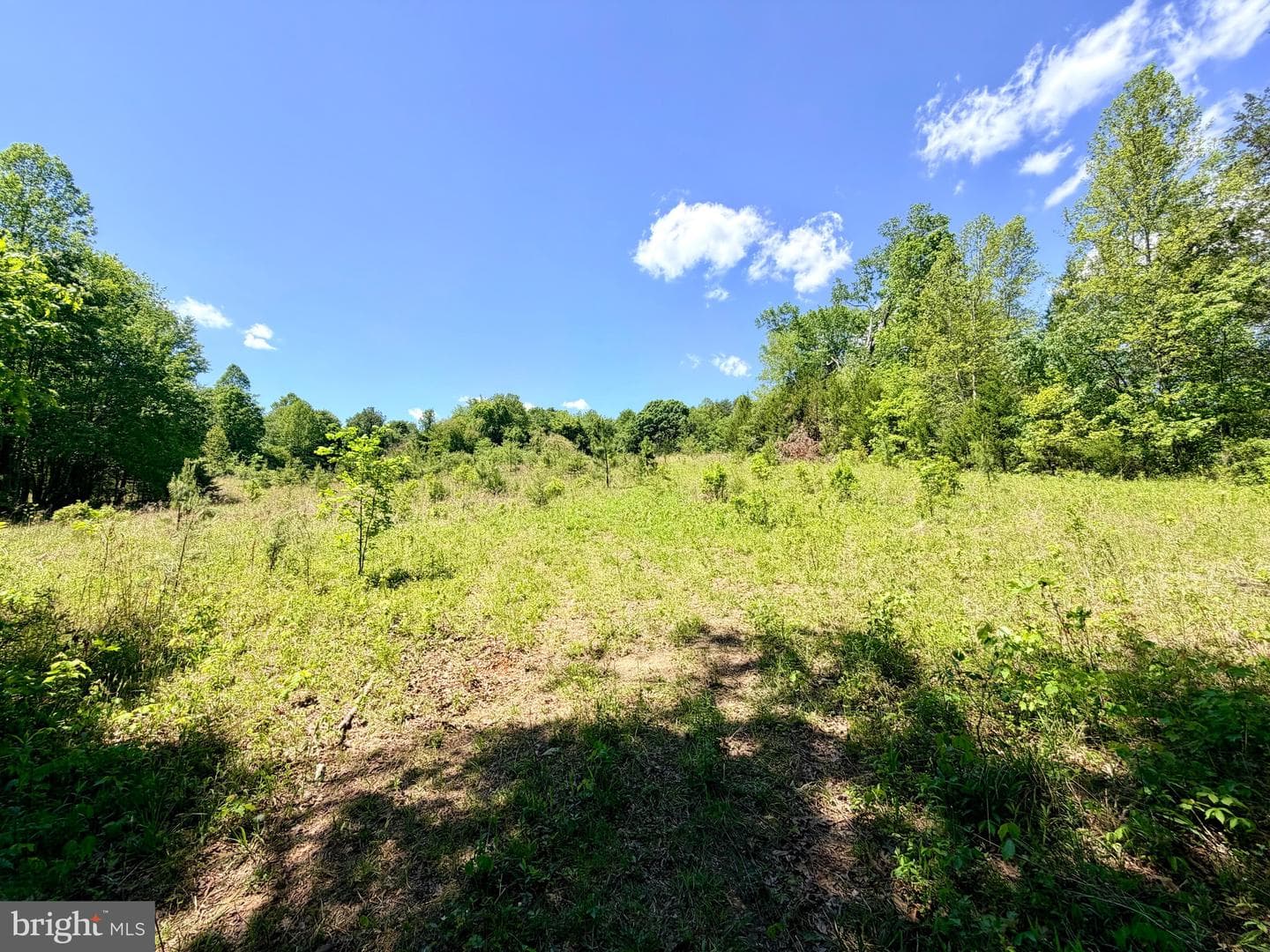 12277 Autumn Ridge Lane photo 3