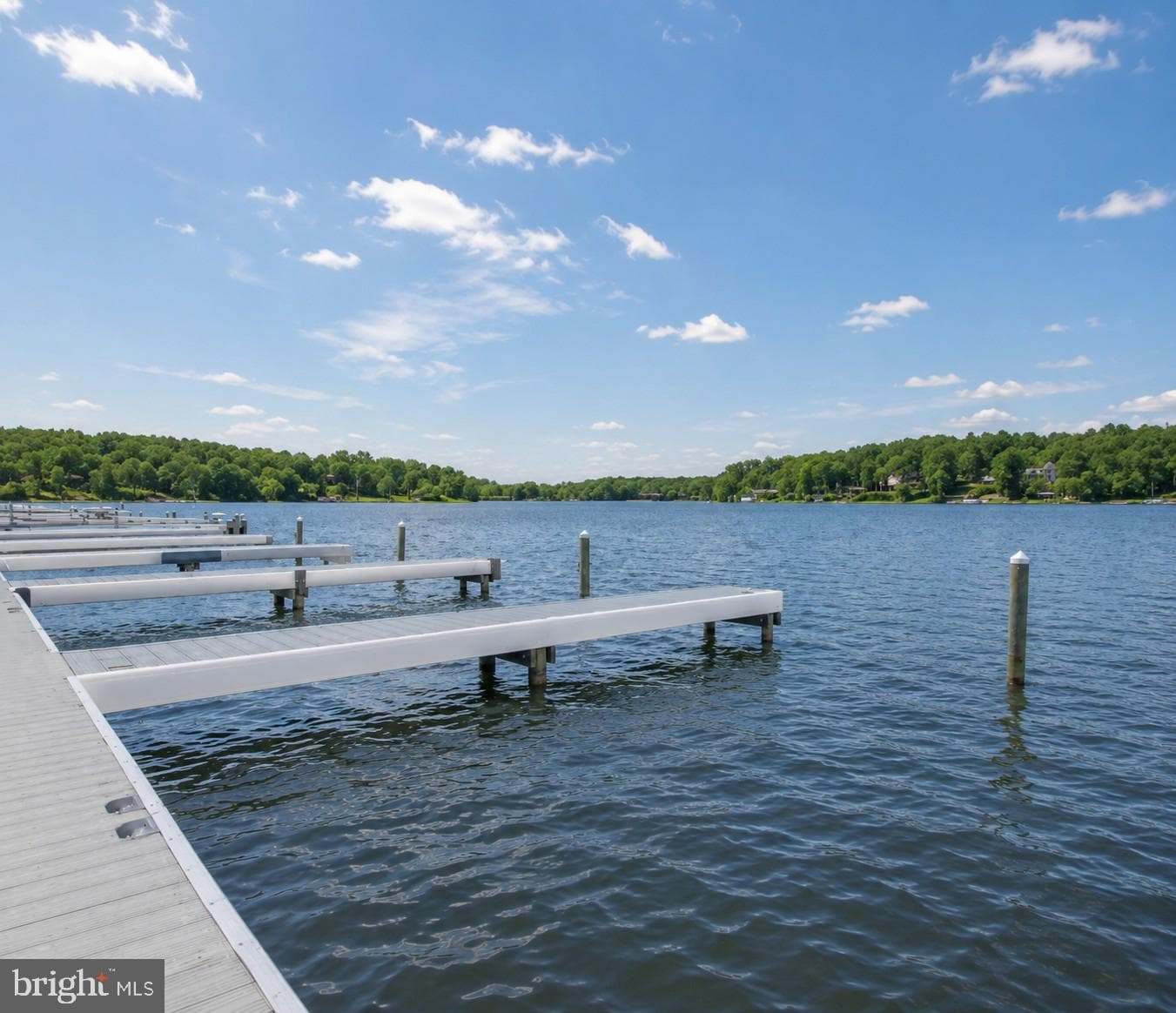 26416 Isabelle Dr photo 4