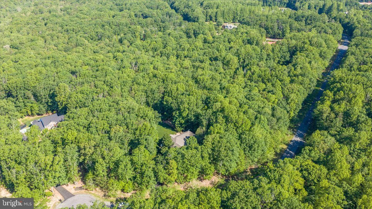 6134 Walkers Hollow Way photo 84