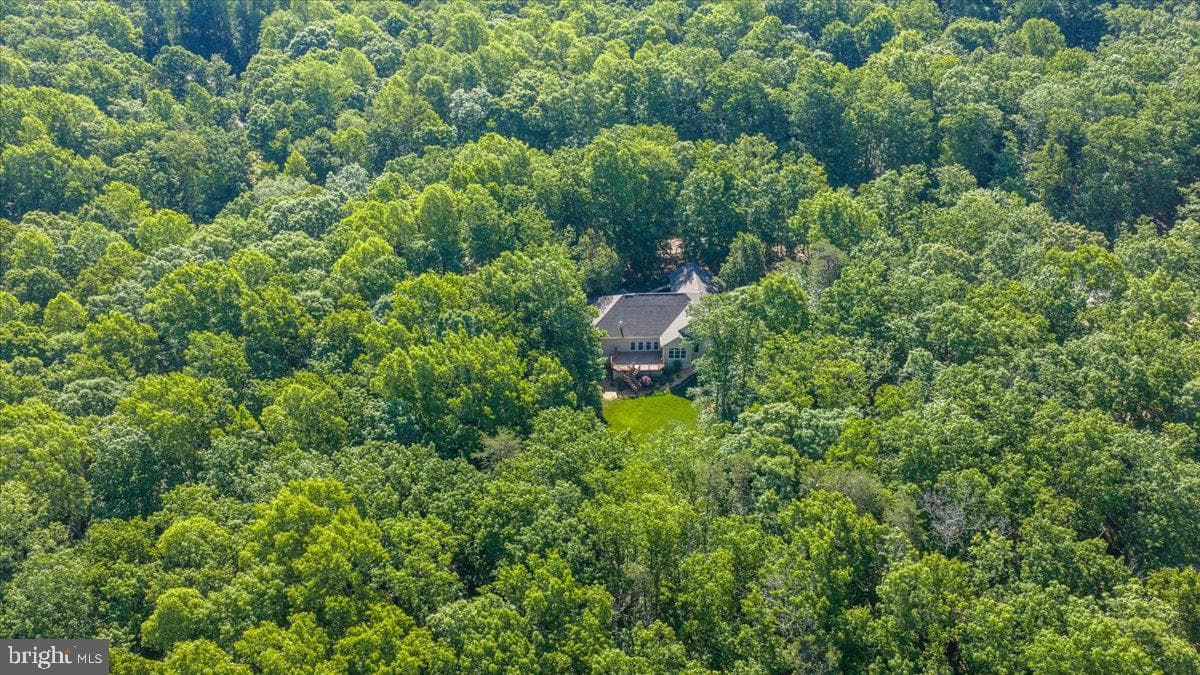 6134 Walkers Hollow Way photo 86