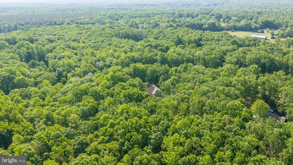 6134 Walkers Hollow Way photo 87
