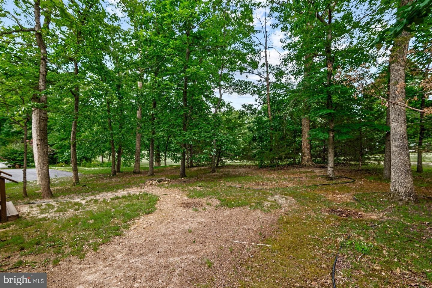 705 Mt Pleasant Drive photo 37